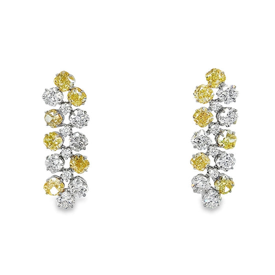 11CT Yellow and White Diamond Earrings