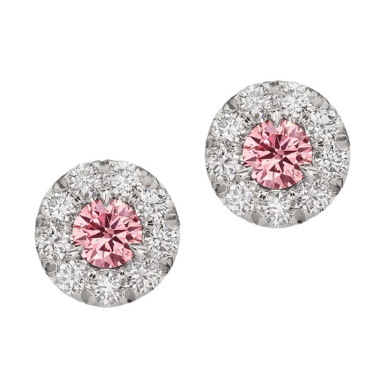 Argyle Pink Diamond Halo Studs