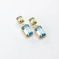 The Land to Sky Earrings