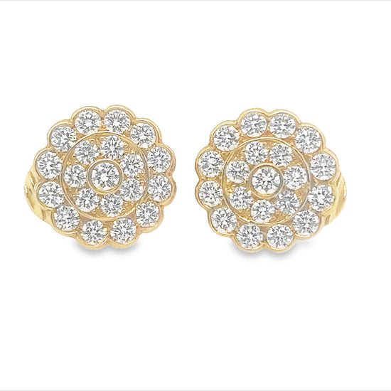 David Webb Cluster Earrings